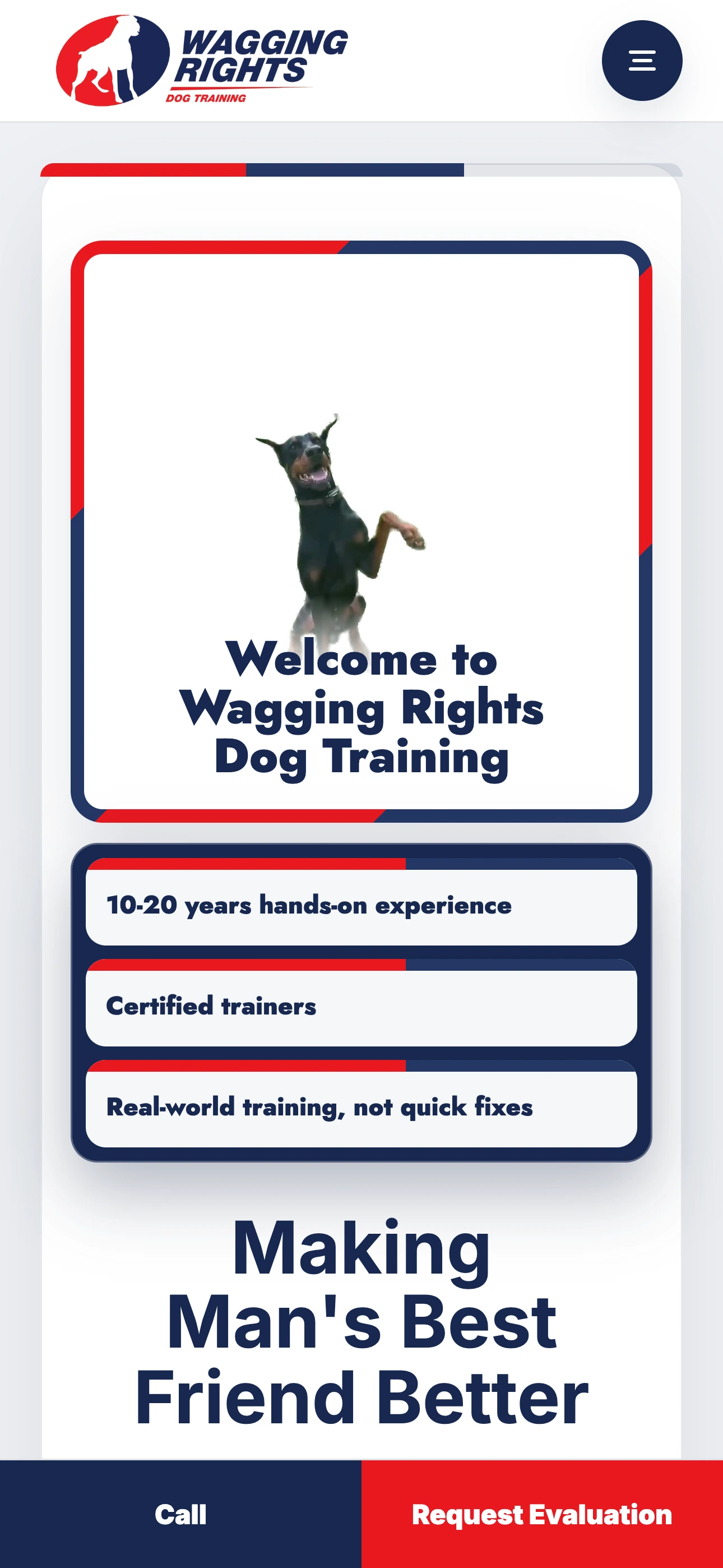 Wagging Rights Dog Training website displayed on a mobile phone